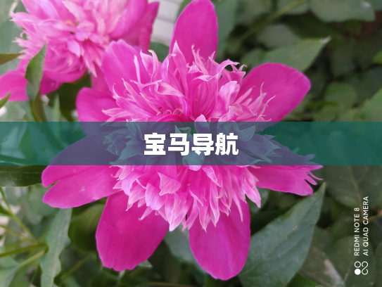 宝马导航