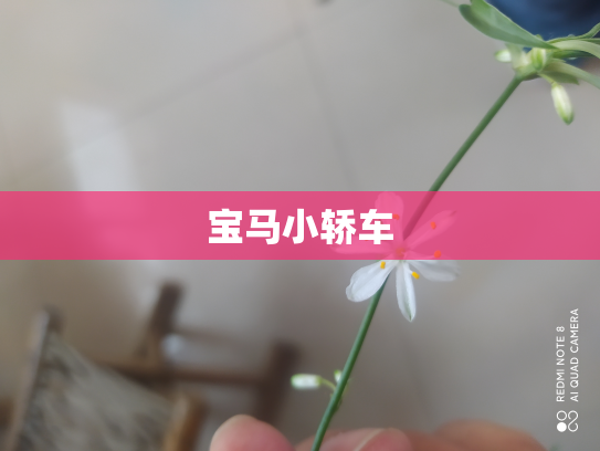 宝马小轿车