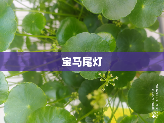 宝马尾灯