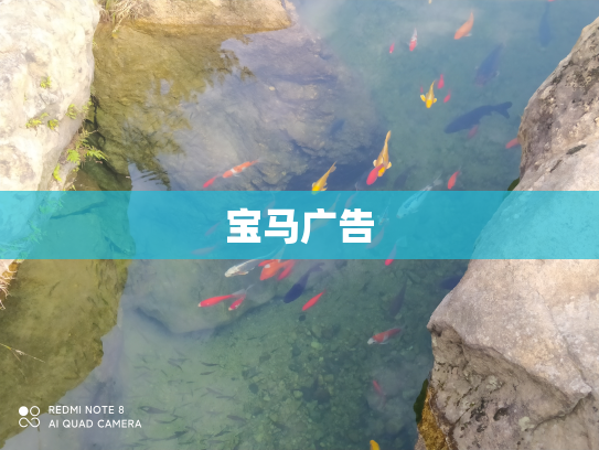 宝马广告