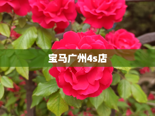 宝马广州4s店