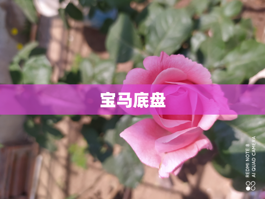 宝马底盘