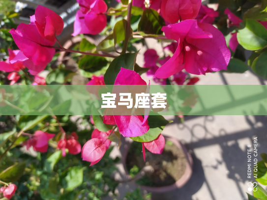 宝马座套