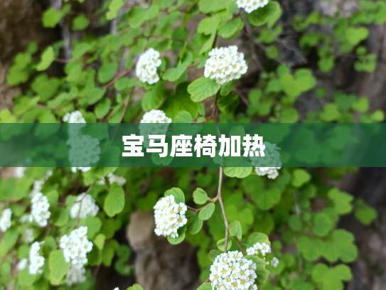 宝马座椅加热