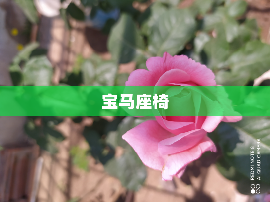 宝马座椅