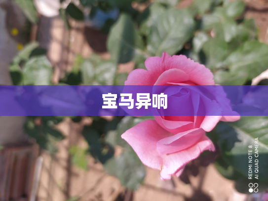 宝马异响