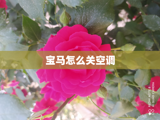 宝马怎么关空调