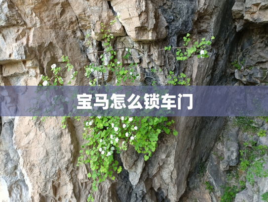 宝马怎么锁车门