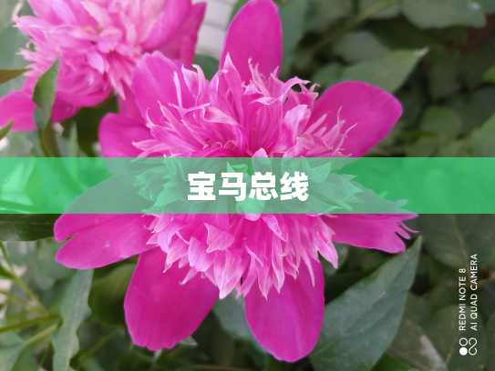 宝马总线