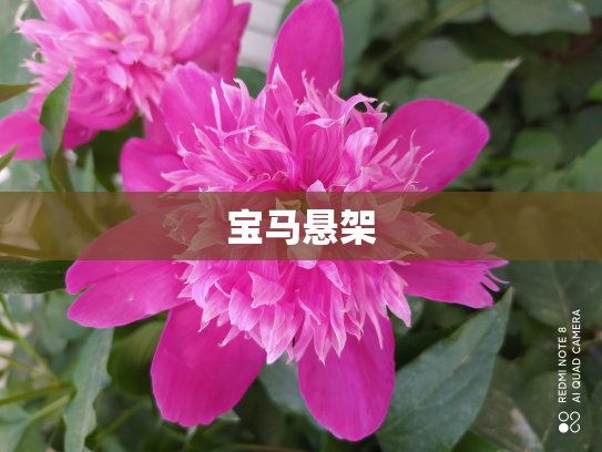 宝马悬架