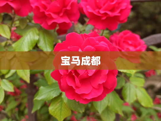宝马成都