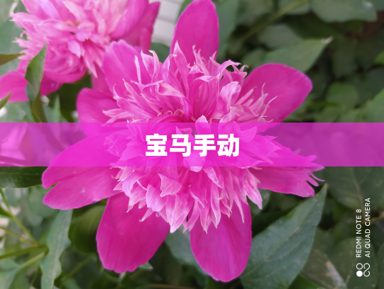 宝马手动