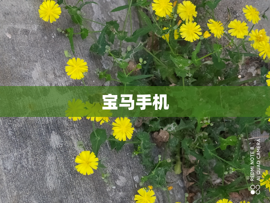 宝马手机