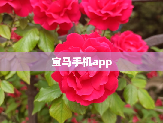 宝马手机app
