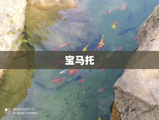 宝马托