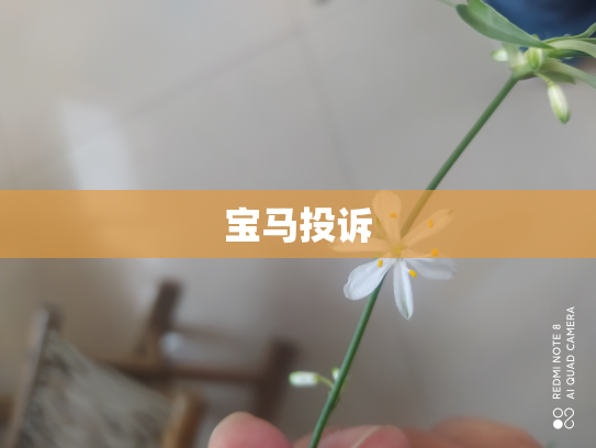 宝马投诉