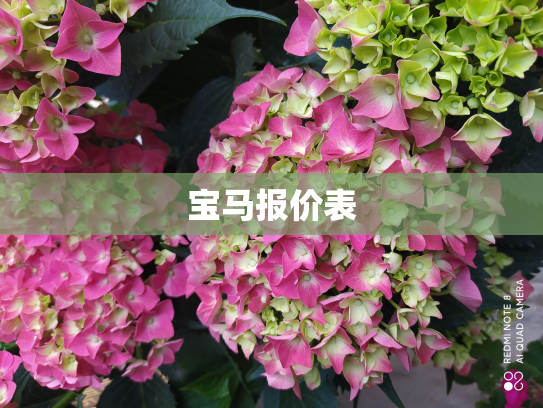 宝马报价表