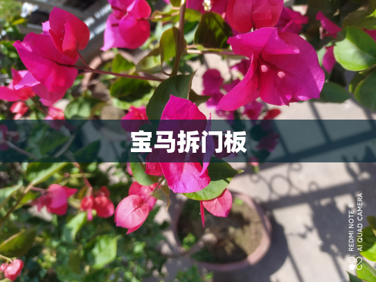 宝马拆门板
