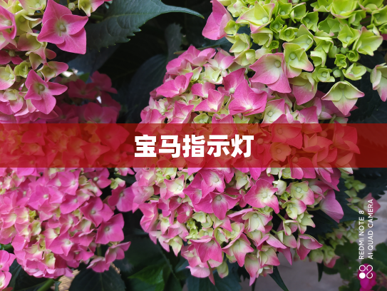 宝马指示灯