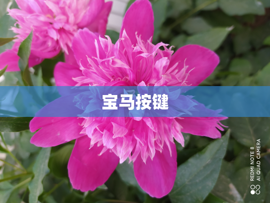 宝马按键