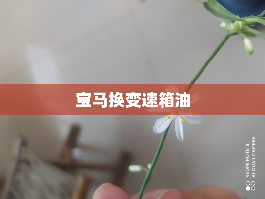 宝马换变速箱油