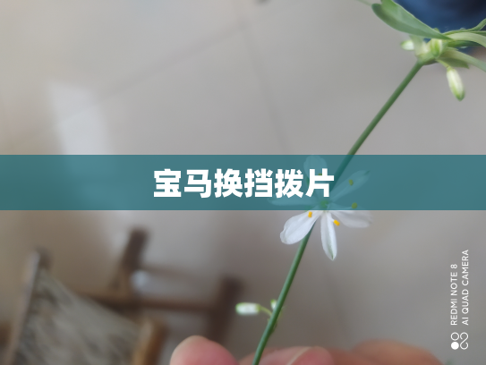宝马换挡拨片
