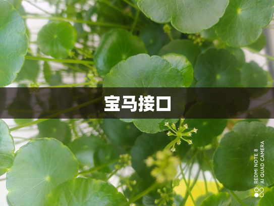 宝马接口