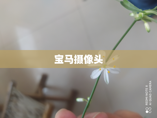 宝马摄像头