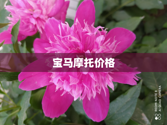 宝马摩托价格