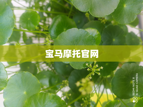 宝马摩托官网