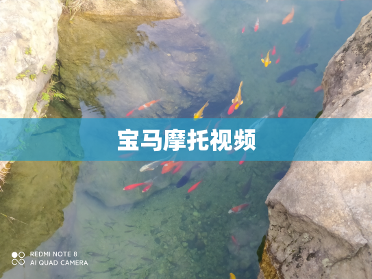 宝马摩托视频