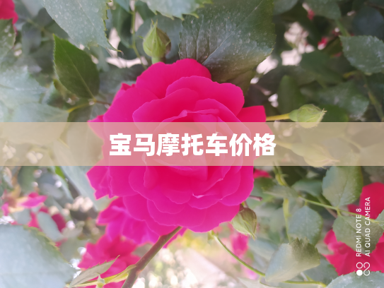 宝马摩托车价格
