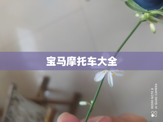 宝马摩托车大全