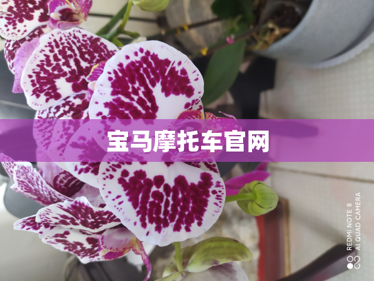 宝马摩托车官网