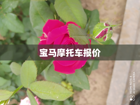 宝马摩托车报价