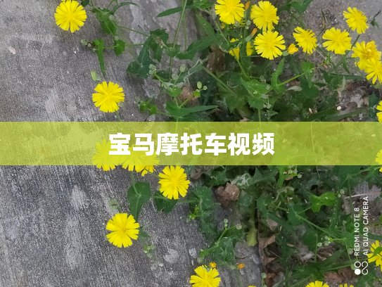宝马摩托车视频