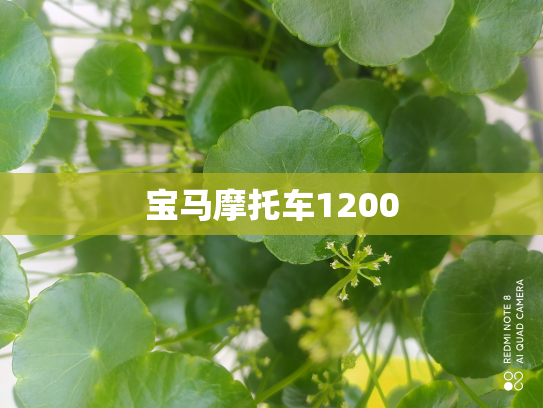 宝马摩托车1200