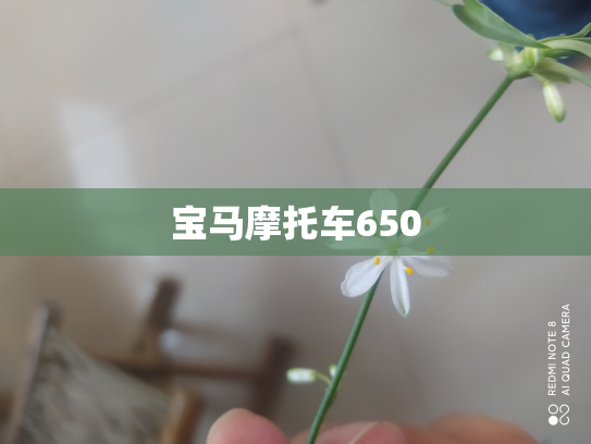 宝马摩托车650