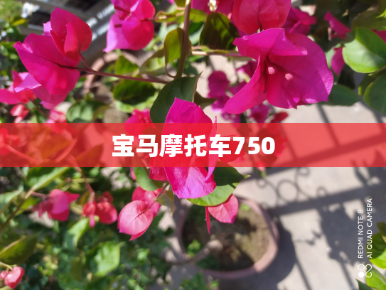 宝马摩托车750
