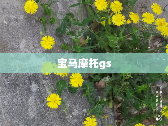 宝马摩托gs
