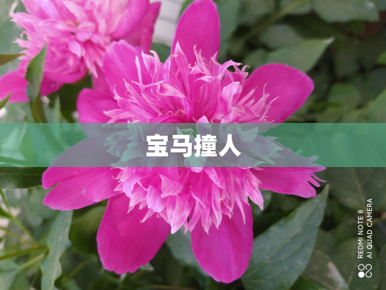 宝马撞人