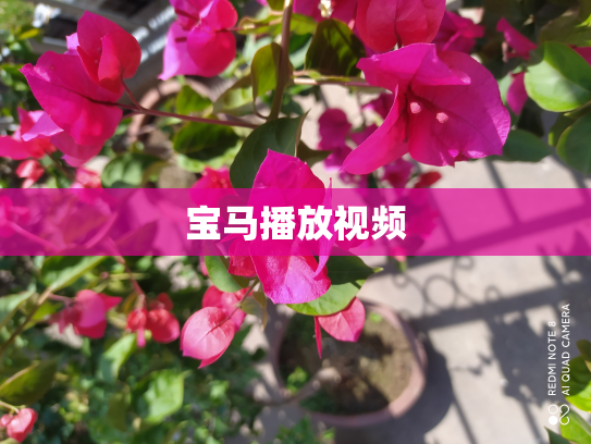 宝马播放视频