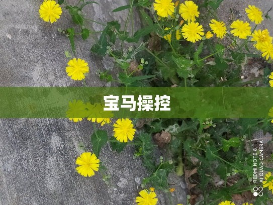宝马操控