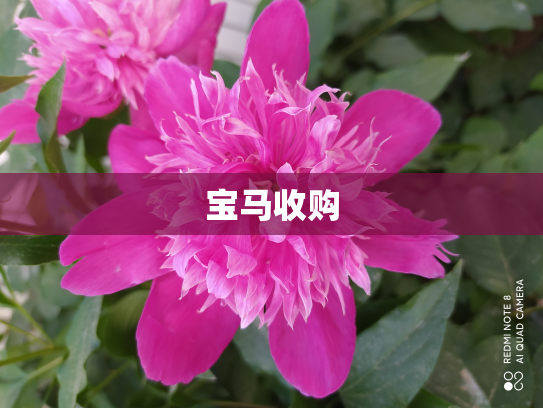 宝马收购