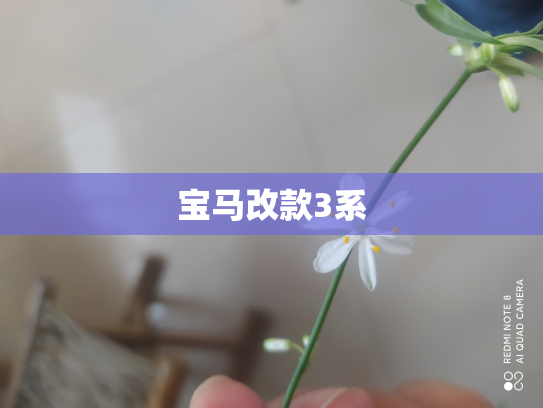 宝马改款3系