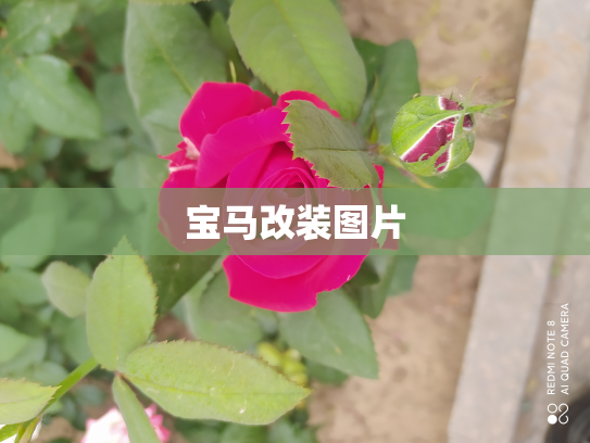 宝马改装图片