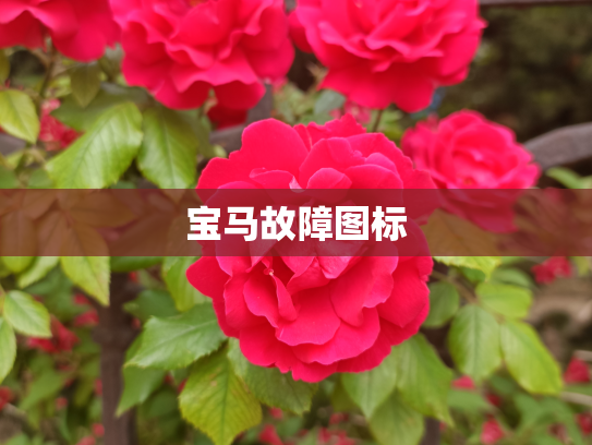 宝马故障图标