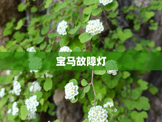 宝马故障灯