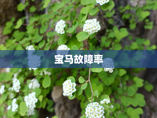 宝马故障率