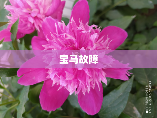宝马故障